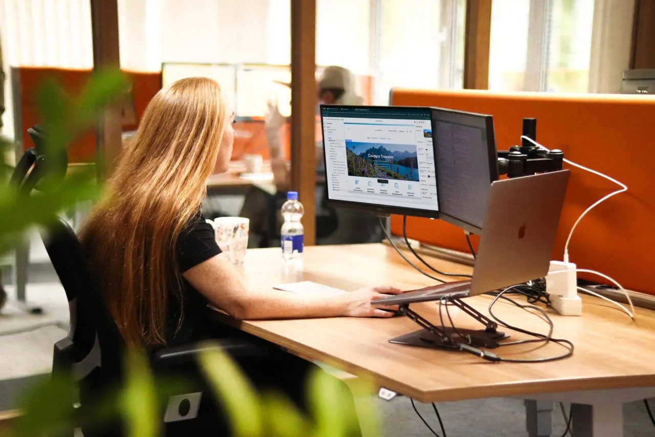 Themavernieuwing en webdevelopment